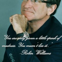 Robin Williams Spark Of Madness iPhone 6 Plus HD Wallpapers / iPod