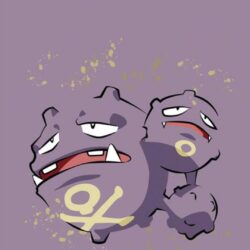 Download Weezing 1080 x 1920 Wallpapers