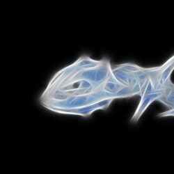 Pokemon Fractalius simple backgrounds Steelix black backgrounds