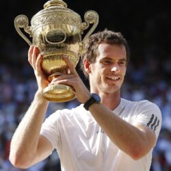 Andy Murray image Andy Murray Wimbledon 2013 HD wallpapers and