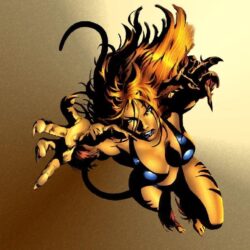 Best 55+ Tigra Wallpapers on HipWallpapers