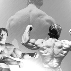 ARNOLD SCHWARZENEGGER ~ Celebrity Wallpapers