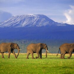 MOUNT KILIMANJARO: my daughter’s goal is to climb this some day