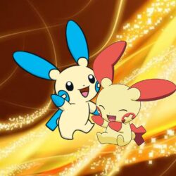 How To *Make*: Plusle and Minun