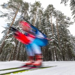 Wallpapers winter, forest, speed, biathlon, biathlete image for