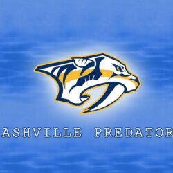 Nashville Predators Wallpapers 9