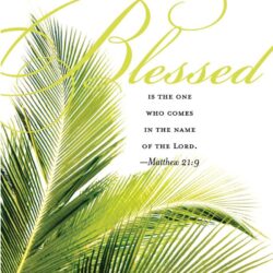 palm sunday … all this week, I pray we will take time each