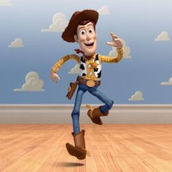 Toy story, Woody and Toys