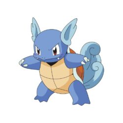pokemon wartortle simple backgrounds white backgrounds