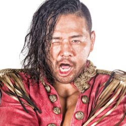 Download Wallpapers Shinsuke nakamura , Wwe , wwe