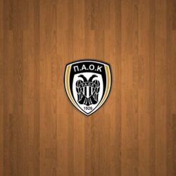 PAOK FC 2013 by fanis2007