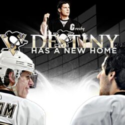 Free Pittsburgh Penguins desktop wallpapers