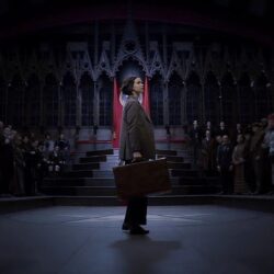 Fantastic Beasts and Where to Find Them Movie Wallpapers