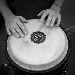 band, beat, black and white, bongo drum, drum, drummer, hands, loud