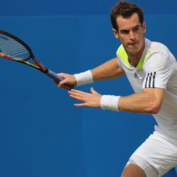 Andy Murray HD Wallpapers