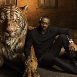 Idris Elba Shere Khan The Jungle Book Wallpapers