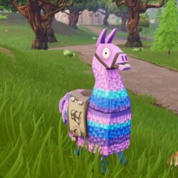 Llamas and buildings got nerfed in Fortnite’s latest update