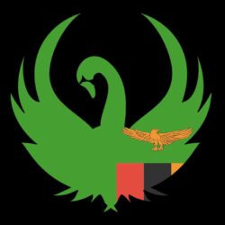 STUNNING ATTRACTIVE NEW ZAMBIA FLAG HD DESKTOP BACKGROUND