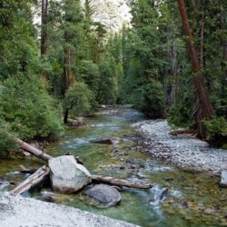 Kings Canyon National Park [USA, California] Nature Parks