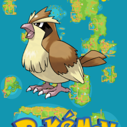 016 Street Map Pidgey Poppo