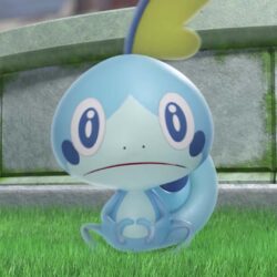Sobble Prevails as the Early Favorite Pokémon Sword and Shield Starter