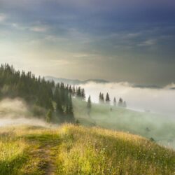 Fog in the Carpathian Mountains, Ukraine wallpapers and image
