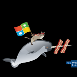 Celebrate the Windows 10 ‘ninjacat’ meme with new Microsoft desktop