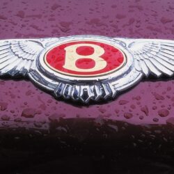 Bentley Logo Wallpapers, Pictures, Image