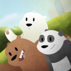 We Bare Bears IPhone Wallpaper, 48 We Bare Bears IPhone Image and