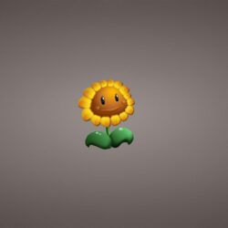 Plants vs Zombies Garden Warfare Sunflower Game Art HD Wallpapers