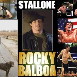 Rocky Balboa" Wallpapers