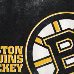 77+ Bruins Phone Wallpapers