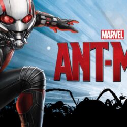 Marvel Ant Man Wallpapers