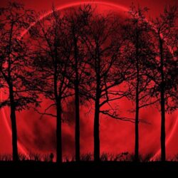 Red Moon wallpapers free download for android smart phones ~ Urpouch