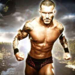 Heavy Weight Champion Randy Orton Wallpapers & Pictures