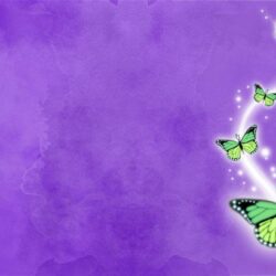 Latest Butterfly HD Wallpapers Download