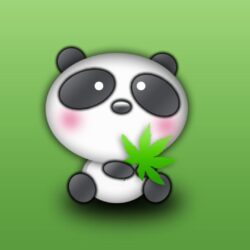Panda bear desktop wallpapers in HD