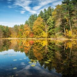 norfolk connecticut lake forest autumn tree reflection HD wallpapers