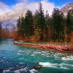 Rivers: Forest Washington River Snow Mountains Elwha State Fall