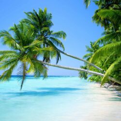 Tropical Beach Wallpapers Widescreen Hd Pictures 4 HD Wallpapers