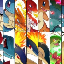 Photo Collection Wartortle Charmeleon Squirtle