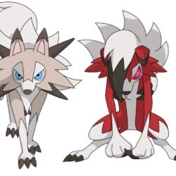 lycanroc dawn form