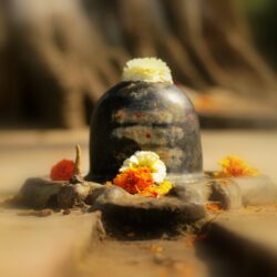 How Did Shiva linga Evolve?