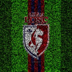 Download wallpapers Lille OSC, 4k, football lawn, logo, French