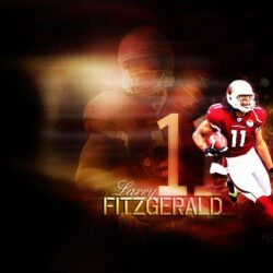 Larry Fitzgerald wallpapers