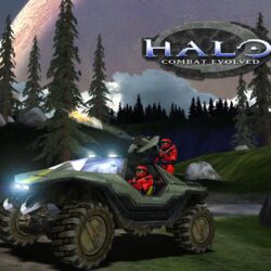Halo Combat Evolved Cars Wallpapers ~ Halo Games Wallpapers Res