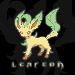 Wallpapers For > Pokemon Leafeon Wallpapers
