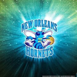 Charlotte Hornets Wallpapers