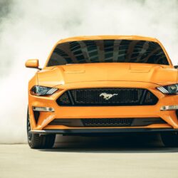 Wallpapers Ford Mustang, 2018, HD, 4K, Automotive / Cars,