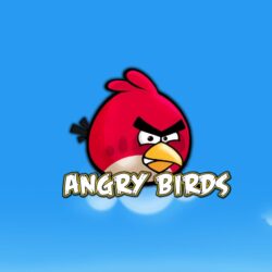 4K Ultra HD Angry birds Wallpapers HD, Desktop Backgrounds